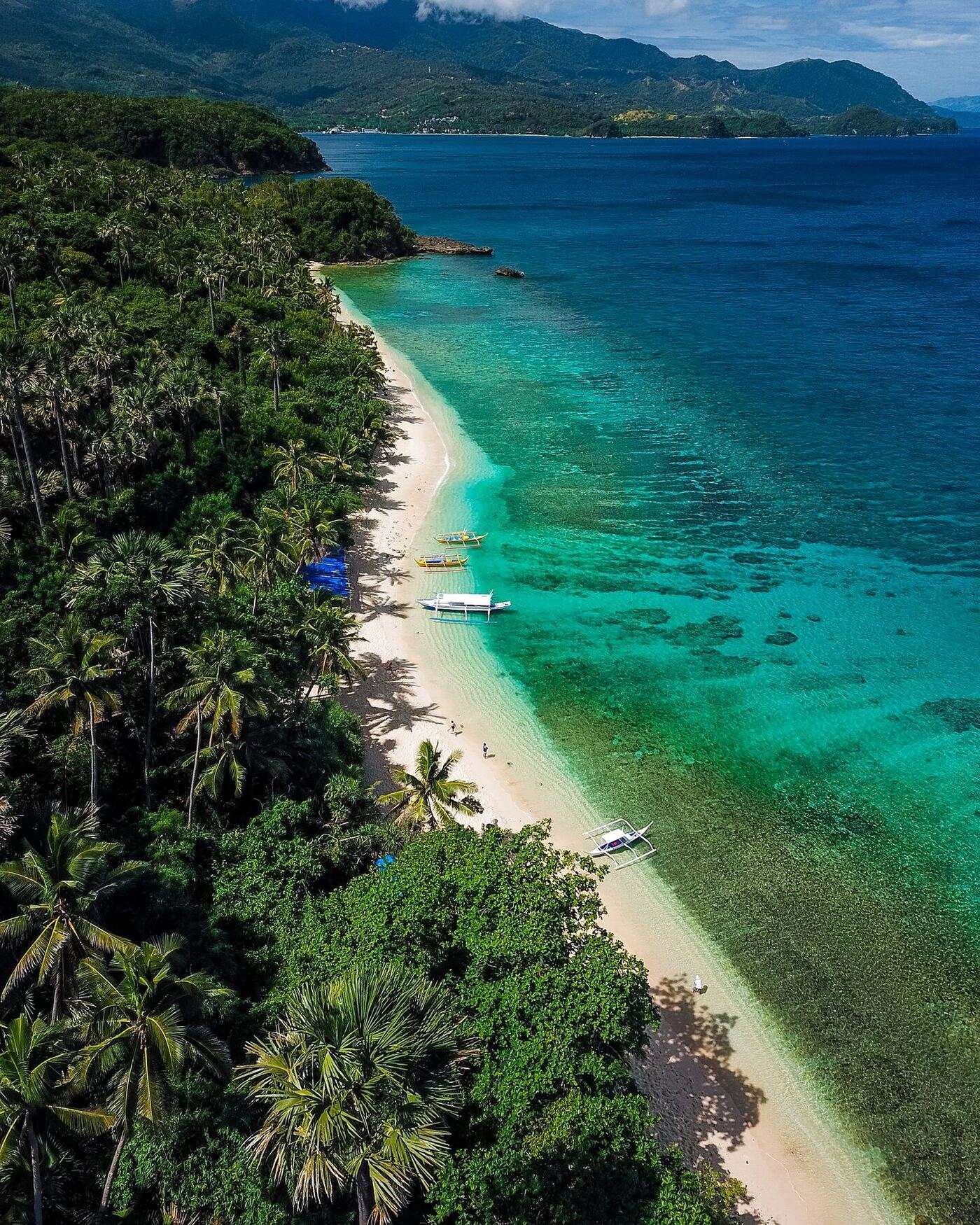 Aerial view of Puerto Galera Mindoro coastline with coconut palm trees lining a white sand beach and turquoise waters with bangka boats