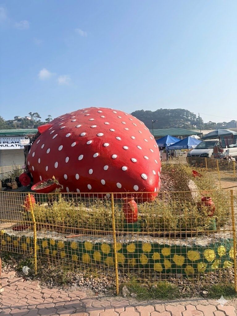 Giant red strawberry monument with white polka dots at La Trinidad Strawberry Farm near Baguio