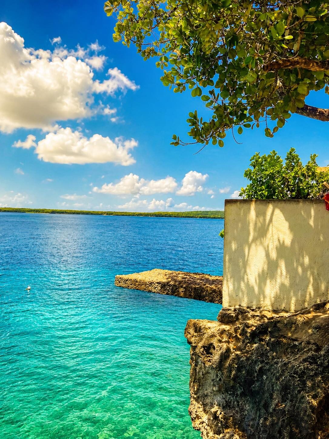 Tropical Philippine coast with turquoise water rocky outcrop and tree branch framing the view