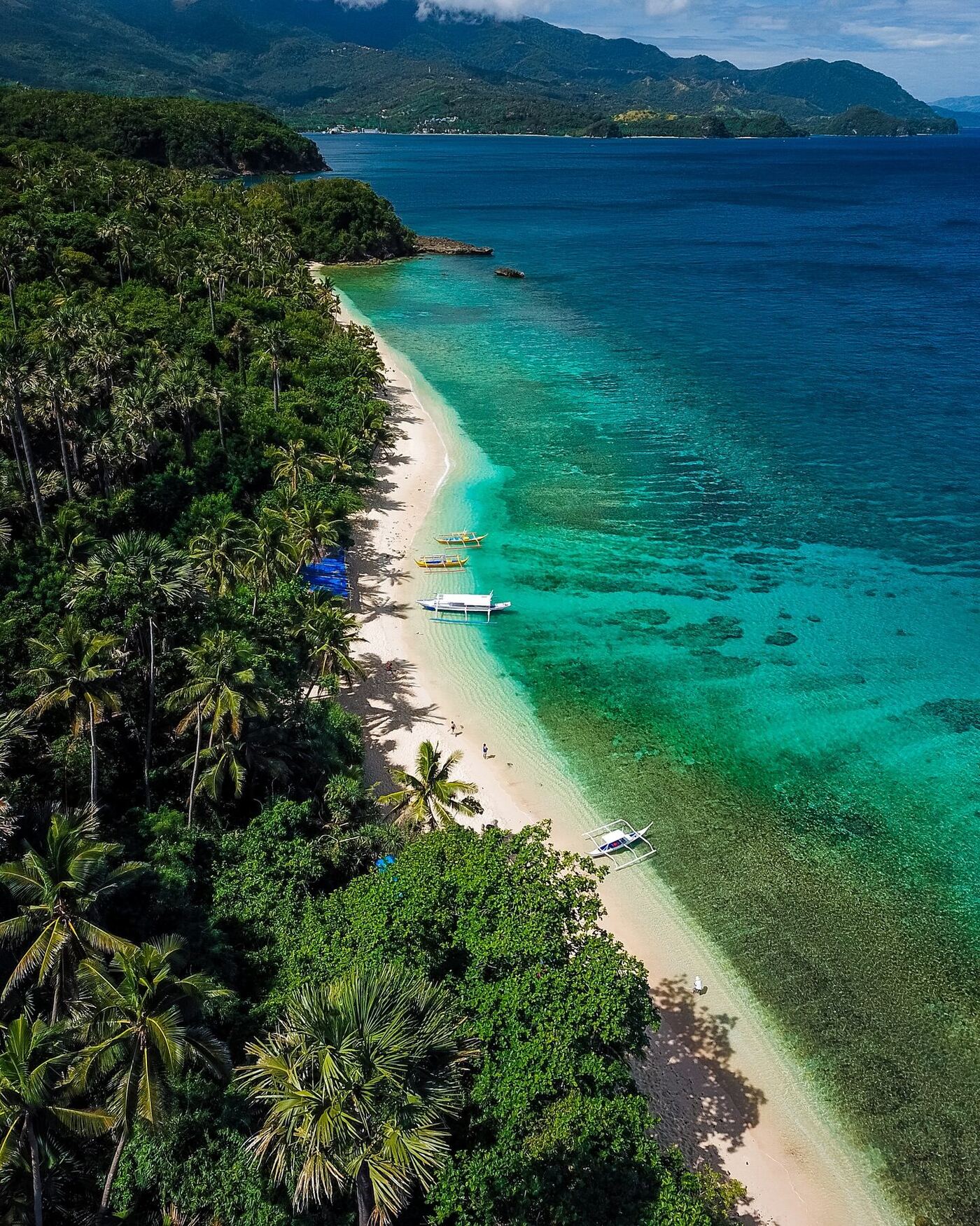 Aerial view of Puerto Galera Mindoro coastline with coconut palm trees lining a white sand beach and turquoise waters with bangka boats