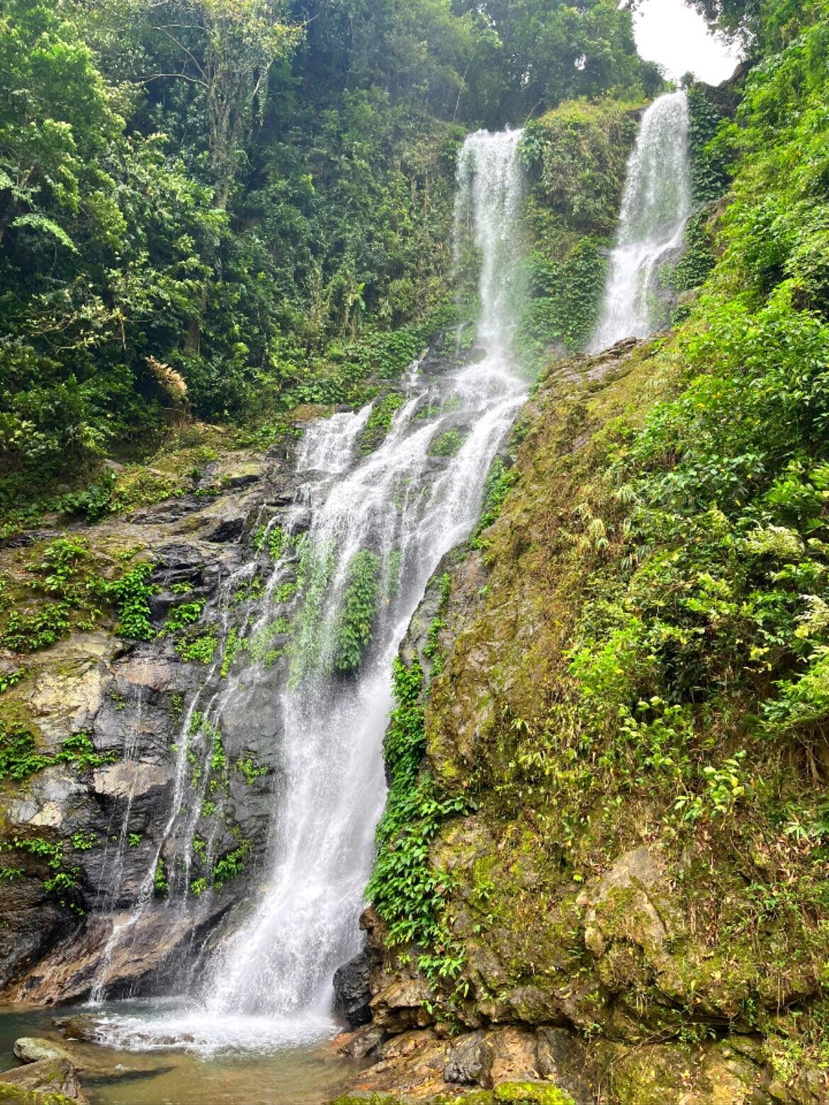 Tamaraw Falls Mindoro multi-tier waterfall cascading down moss-covered rocks through lush tropical jungle in Puerto Galera