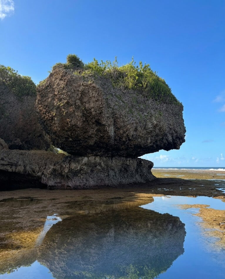 Magpupungko Rock Pools Siargao iconic mushroom-shaped volcanic rock formation with shallow tide pools at low tide